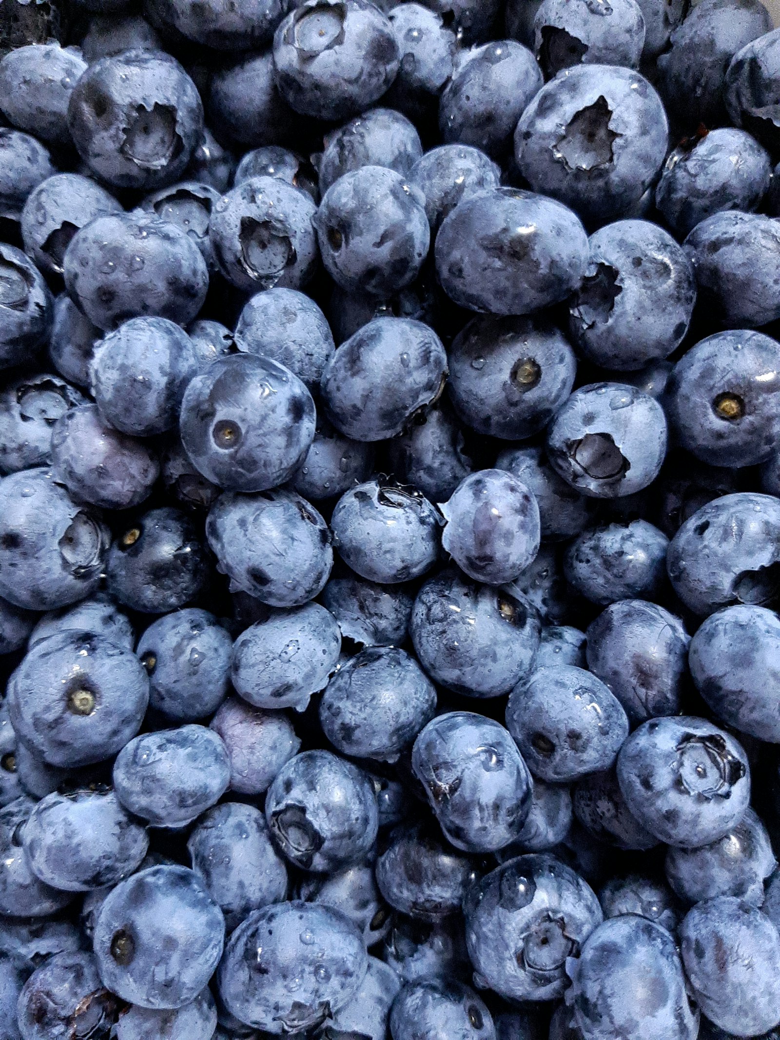 Negociación de fertilizantes y agroquímicos · hasta 50% de ahorro